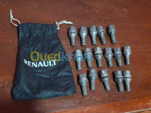 goujon Renault d'origine  16 pièces