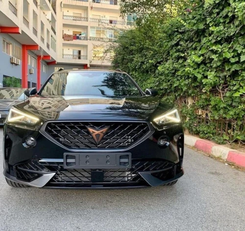 Cupra  Leon 2024 Formentor diesel 4*4