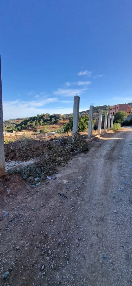 Vente Terrain Blida Meftah