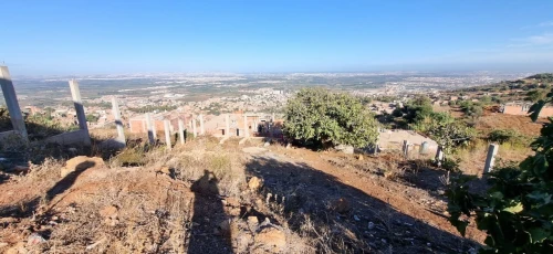 Vente Terrain Blida Meftah