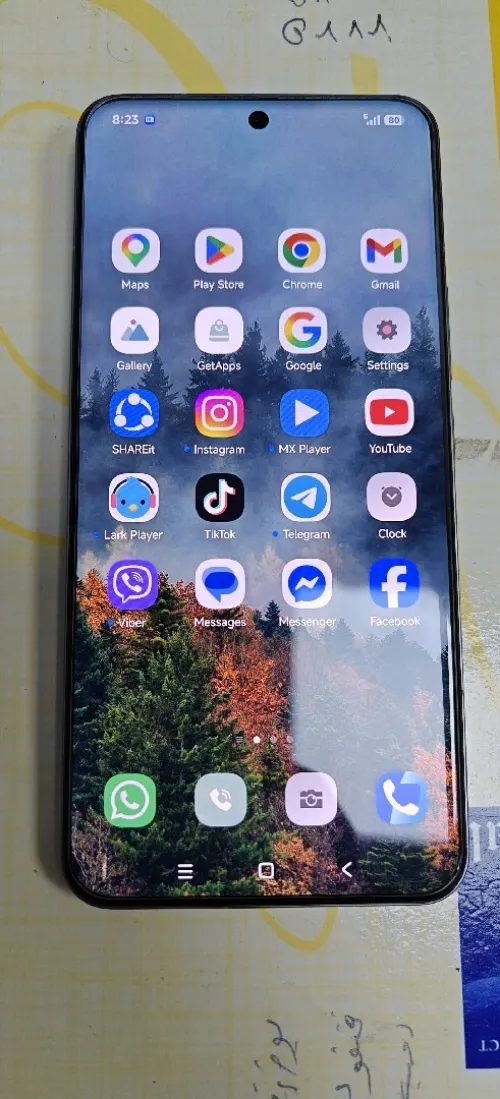 Xiaomi Xiaomi 15 pro