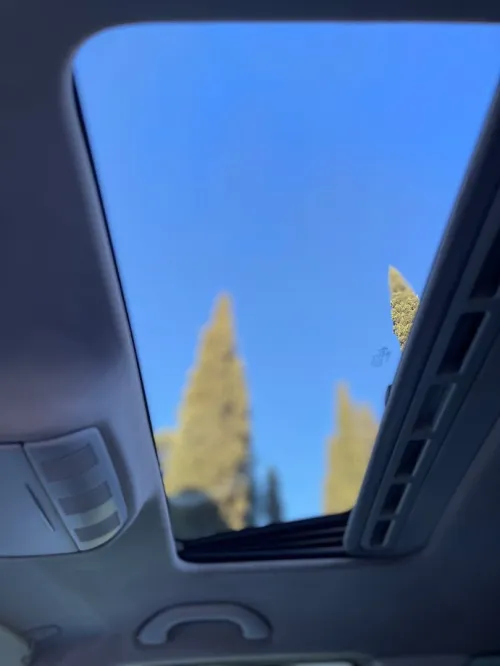 Skoda Fabia 2015 Visage