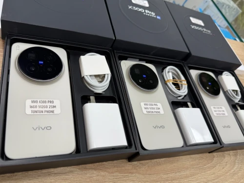 Vivo X300 Pro 16/512