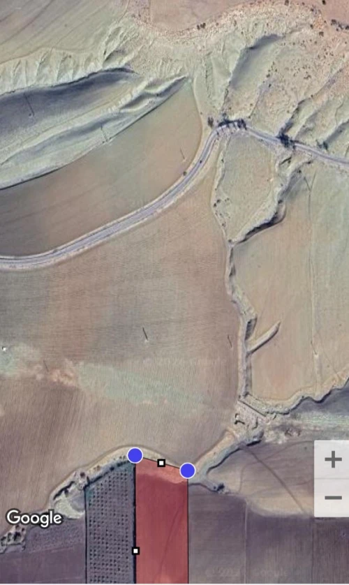 Vente Terrain Tlemcen Amieur