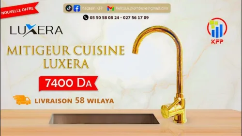 Mitigeur Doré Cuisine LUXERA 