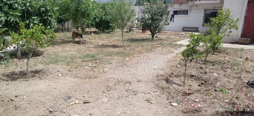 Vente Terrain Blida Ouled selama