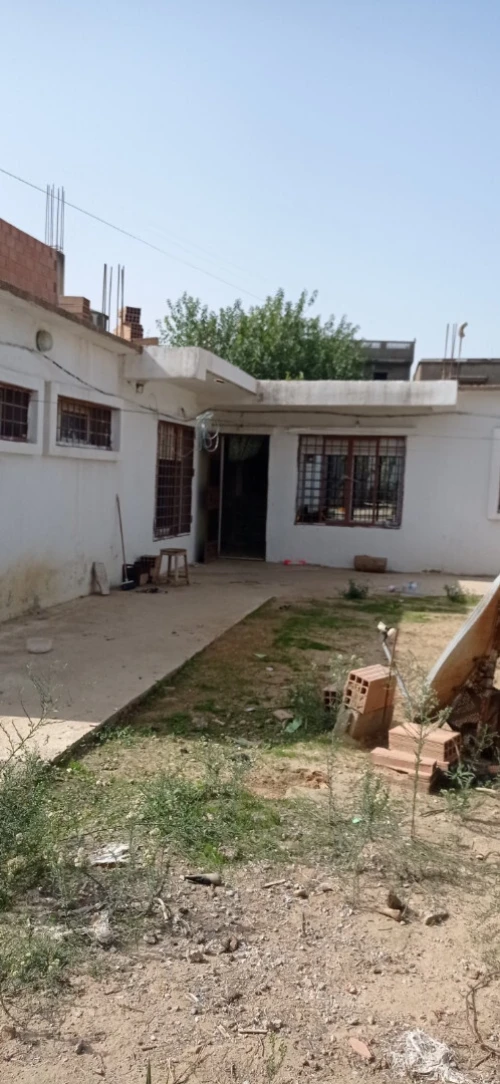 Vente Terrain Blida Ouled selama