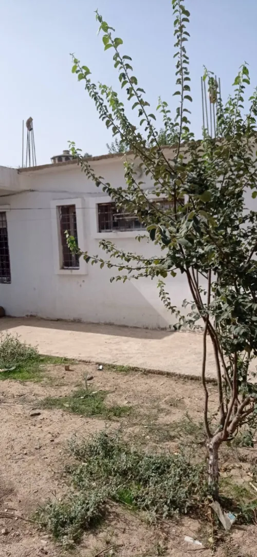 Vente Terrain Blida Ouled selama