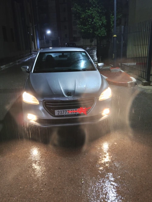 Peugeot 301 2013 Active