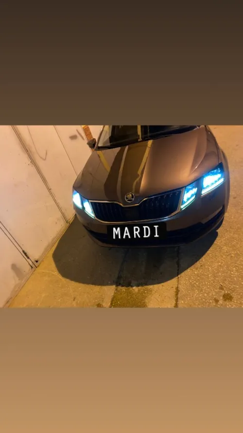 Skoda Octavia 2019 Clever