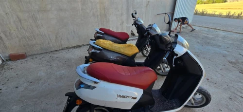 Pegout Viva ciyti 2014