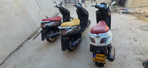 Pegout Viva ciyti 2014