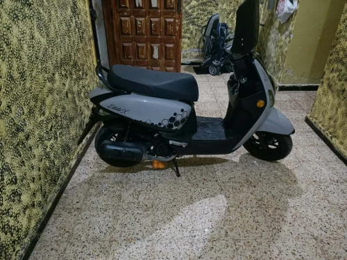 VMS CUXI 2025
