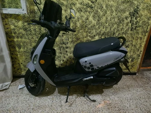 VMS CUXI 2025