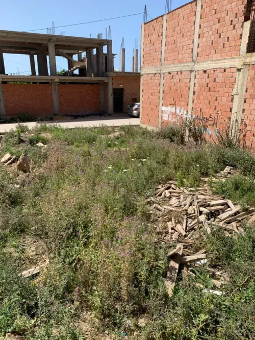 Vente Terrain Alger Tessala el merdja