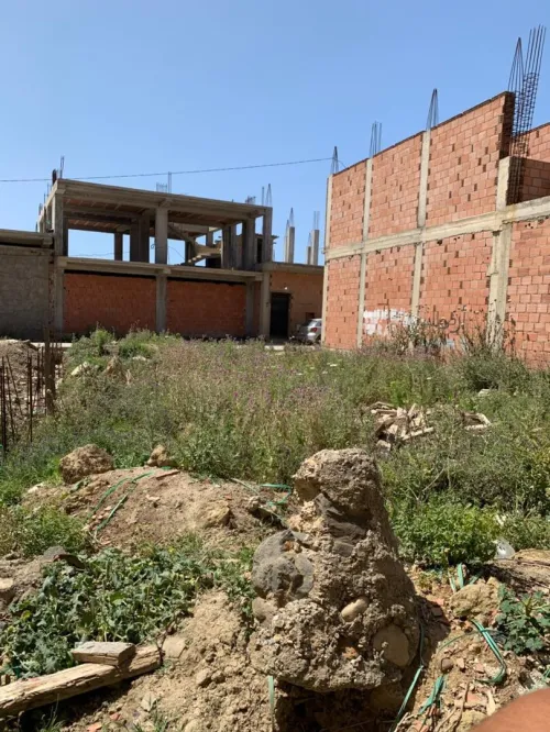 Vente Terrain Alger Tessala el merdja