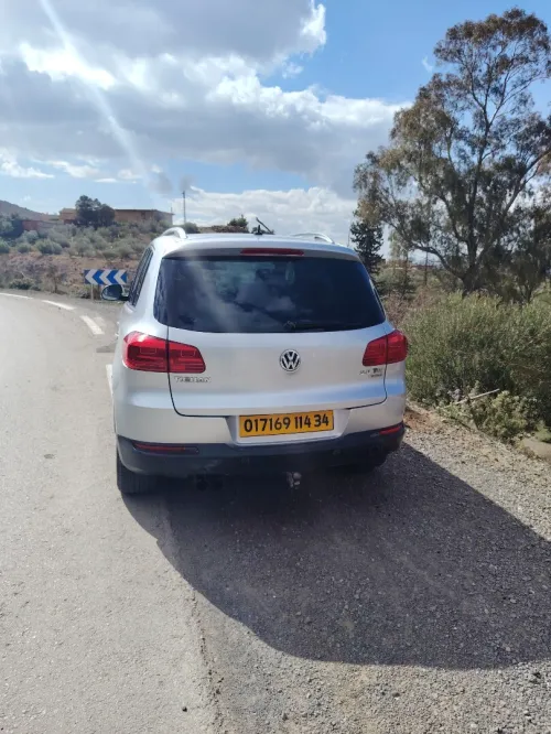 Volkswagen Tiguan 2014 cub