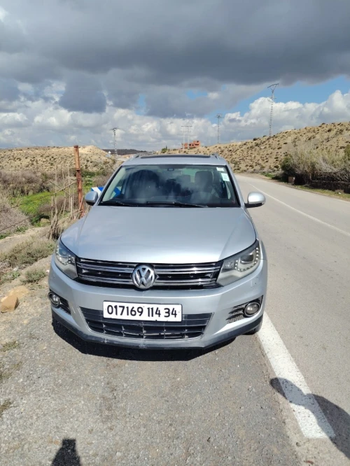Volkswagen Tiguan 2014 cub