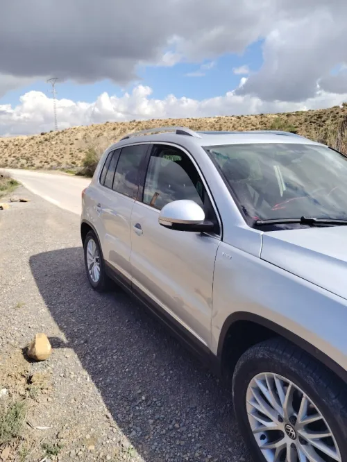 Volkswagen Tiguan 2014 cub