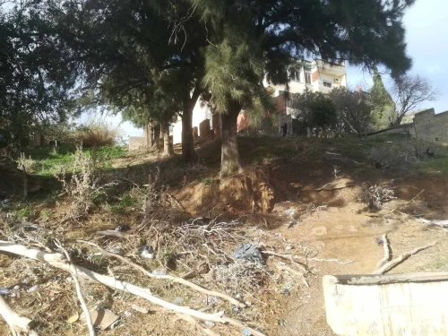 Vente Terrain Alger Bouzareah