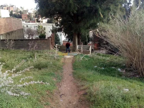 Vente Terrain Alger Bouzareah