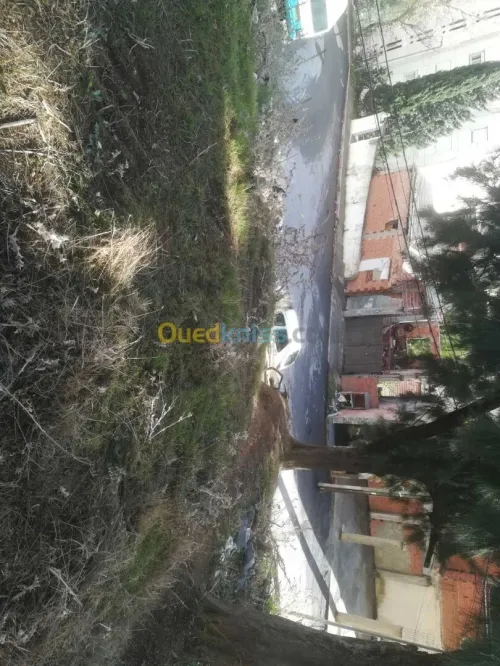 Vente Terrain Alger Bouzareah
