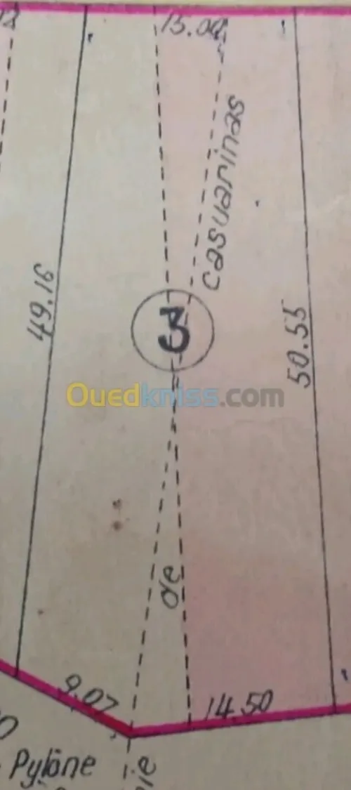 Vente Terrain Alger Bouzareah