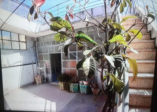 Vente Villa Alger Kouba