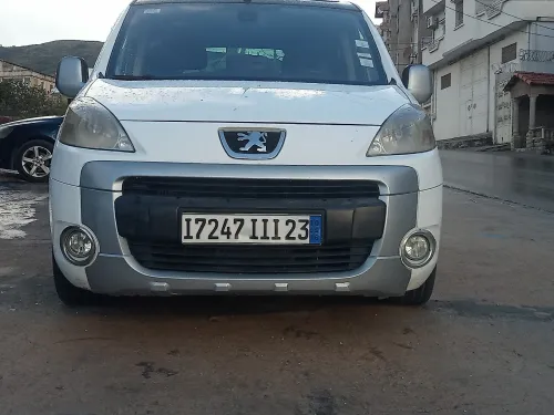 Peugeot Partner 2011 Tepee