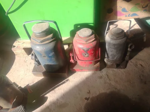 الأبيض سيد الشيخ
