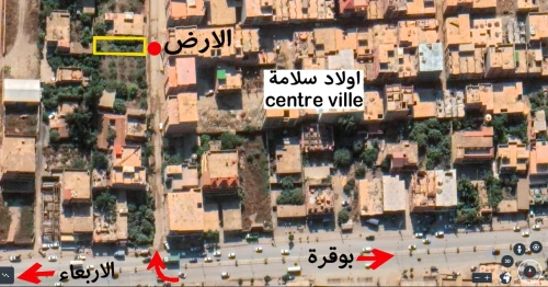 Vente Terrain Blida Ouled selama
