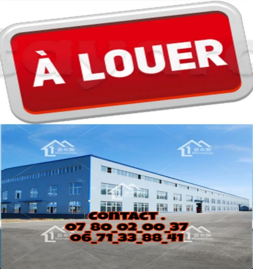 Location Hangar - Usine Alger Baraki