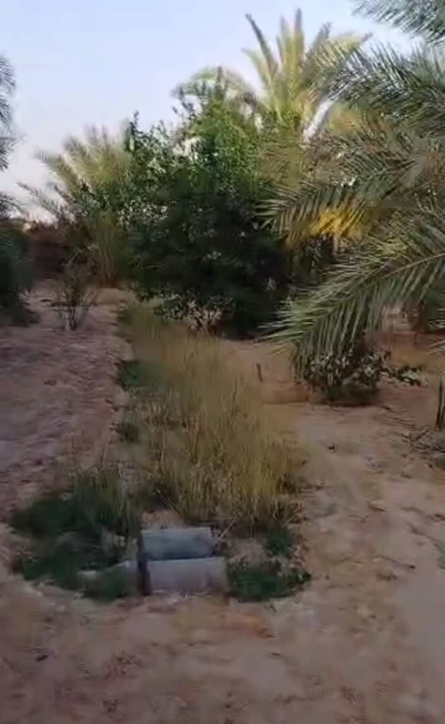 Vente Terrain Agricole Ouargla Ain beida