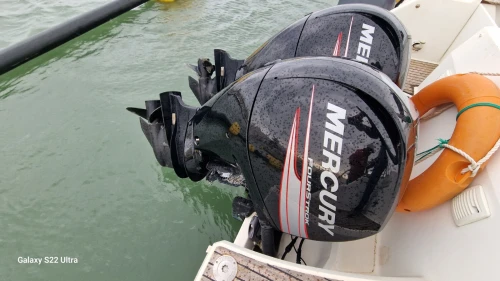 Moteur hors bord mercury 150 ch