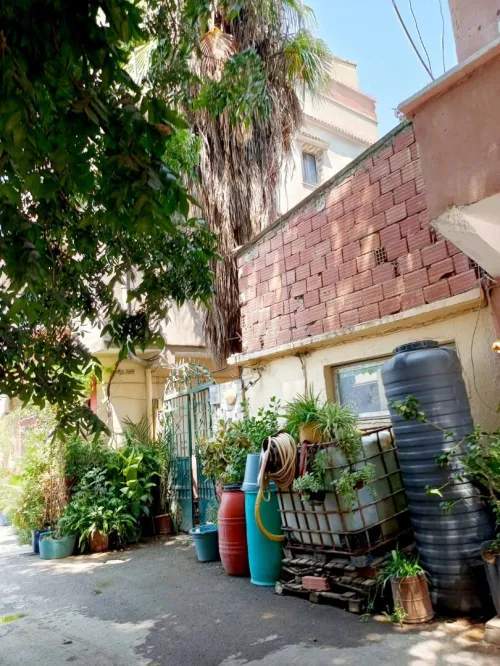 Vente Villa Blida Boufarik