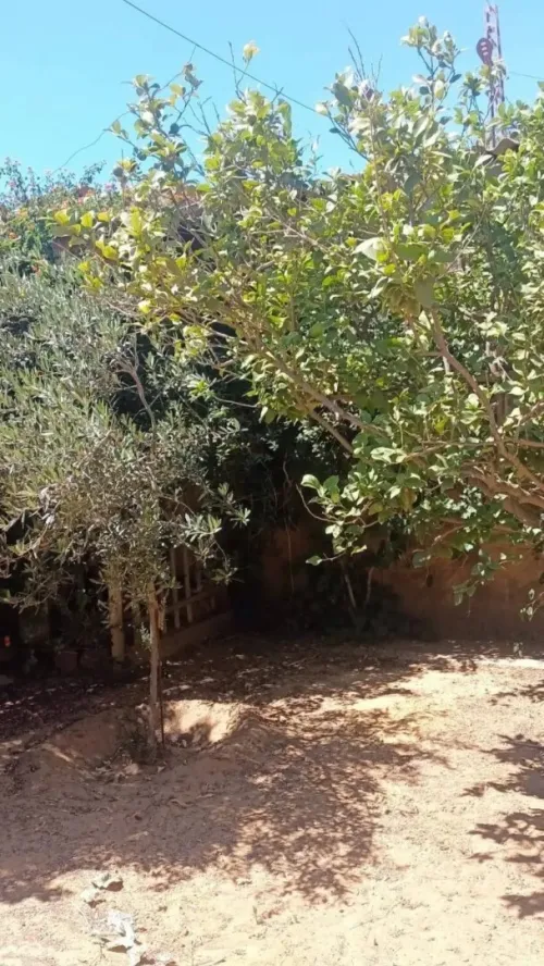 Vente Terrain Mostaganem Kheireddine