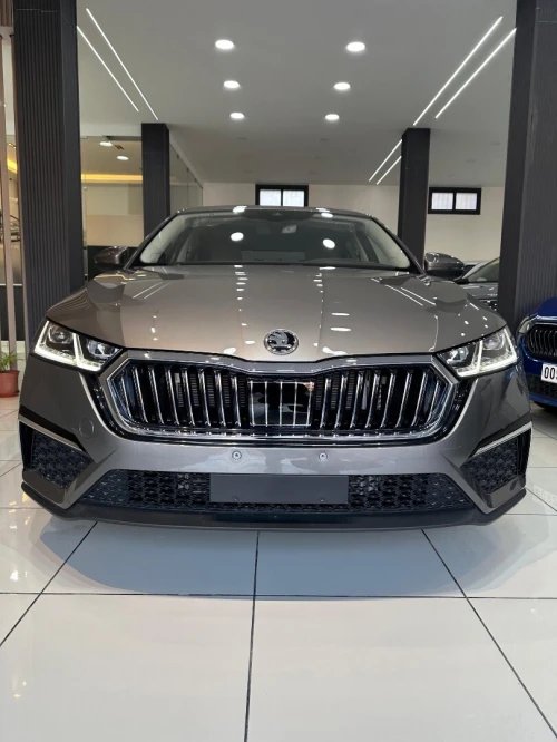 Skoda Octavia 2025 Pro