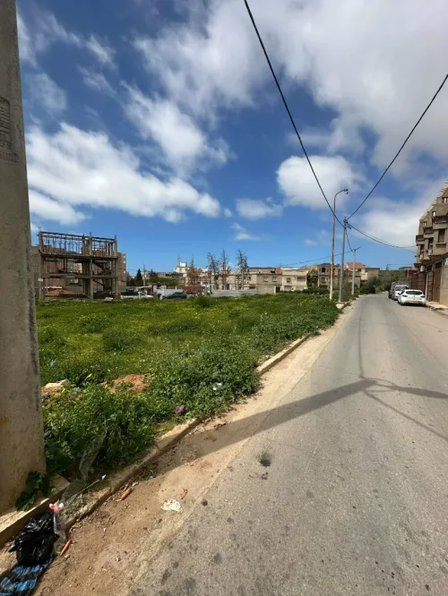Vente Terrain Mostaganem Mostaganem