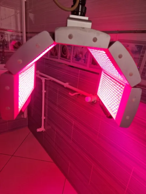 appareil de thérapie photodynamique