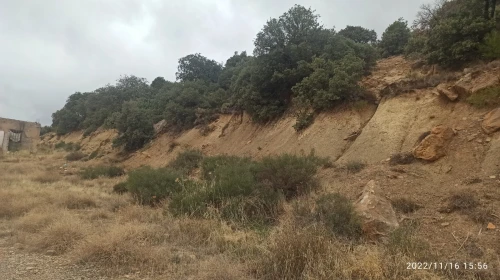 Vente Terrain Bordj Bou Arreridj Bordj zemoura