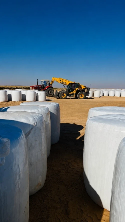 vente ensilages de maïs