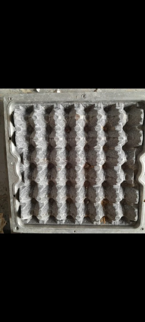 Moule plateaux d'œufs 