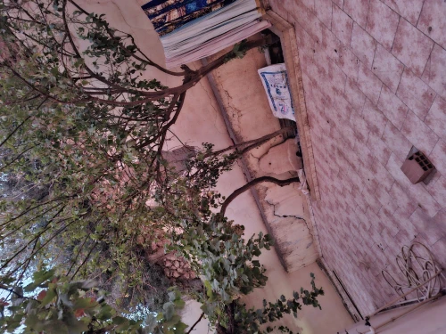 Vente Villa Sidi Bel Abbès Sidi bel abbes