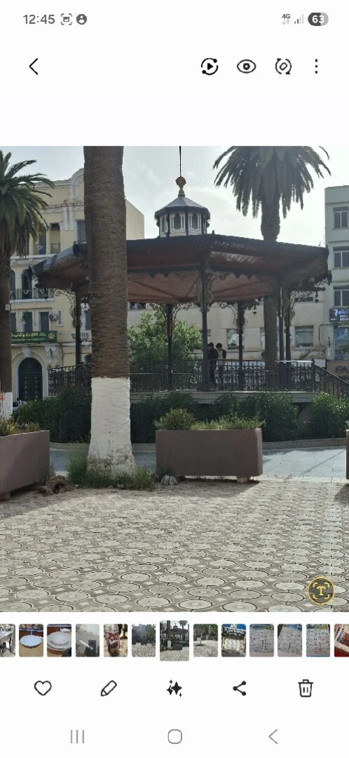 Vente Local Sidi Bel Abbès Sidi bel abbes