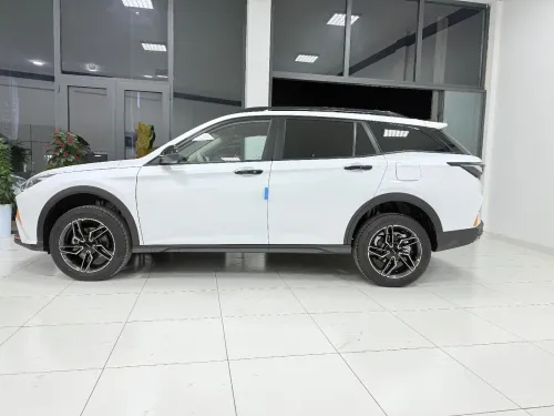 Dongfeng  Aoelus shine gs 2025 Luxury