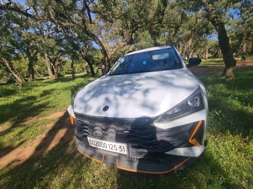Dongfeng  Aoelus gs 2025 