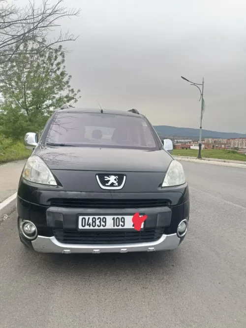 Peugeot Partner 2009 Tepee