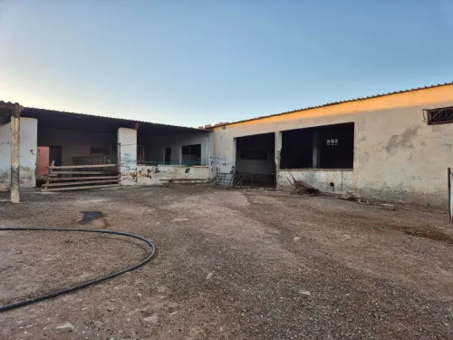 Location Terrain Agricole Sidi Bel Abbès Sidi lahcene