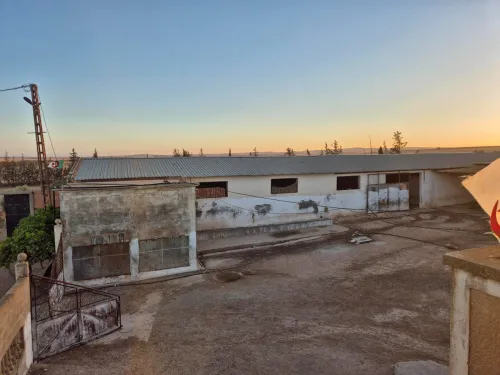 Vente Terrain Agricole Sidi Bel Abbès Sidi lahcene