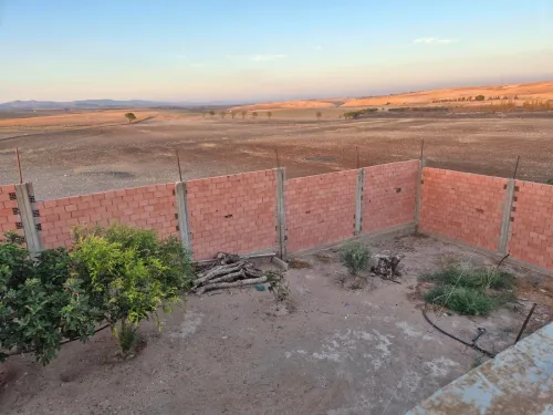 Location Terrain Agricole Sidi Bel Abbès Sidi lahcene